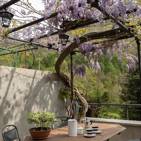 Welcomely - Al Sollievo House ليكو